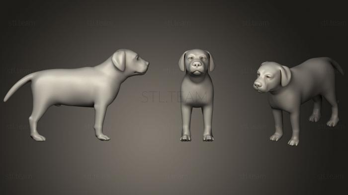 3D model Dog Base Volume 01 (STL)